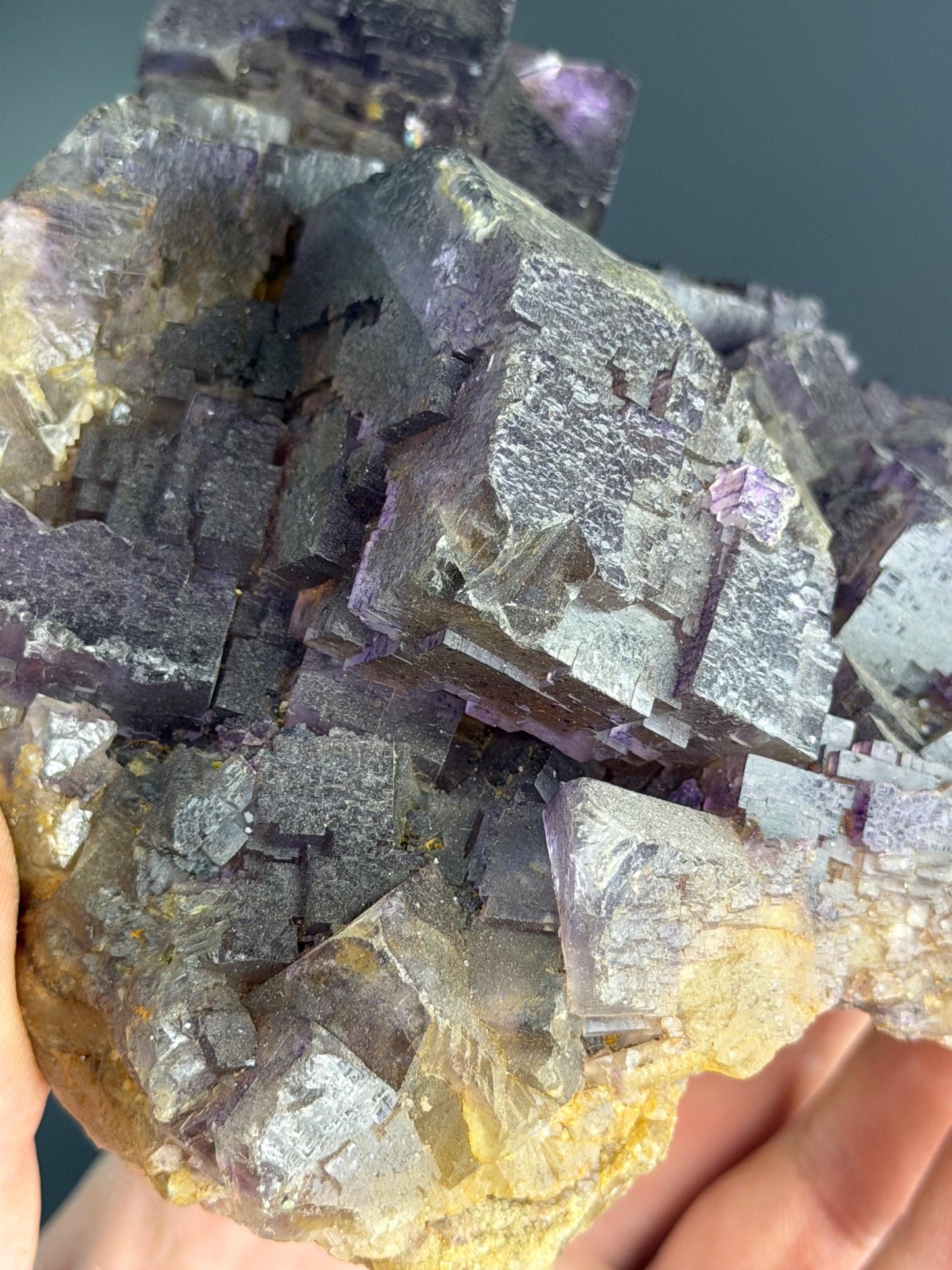 Yellow And Purple Phantom Fluorite