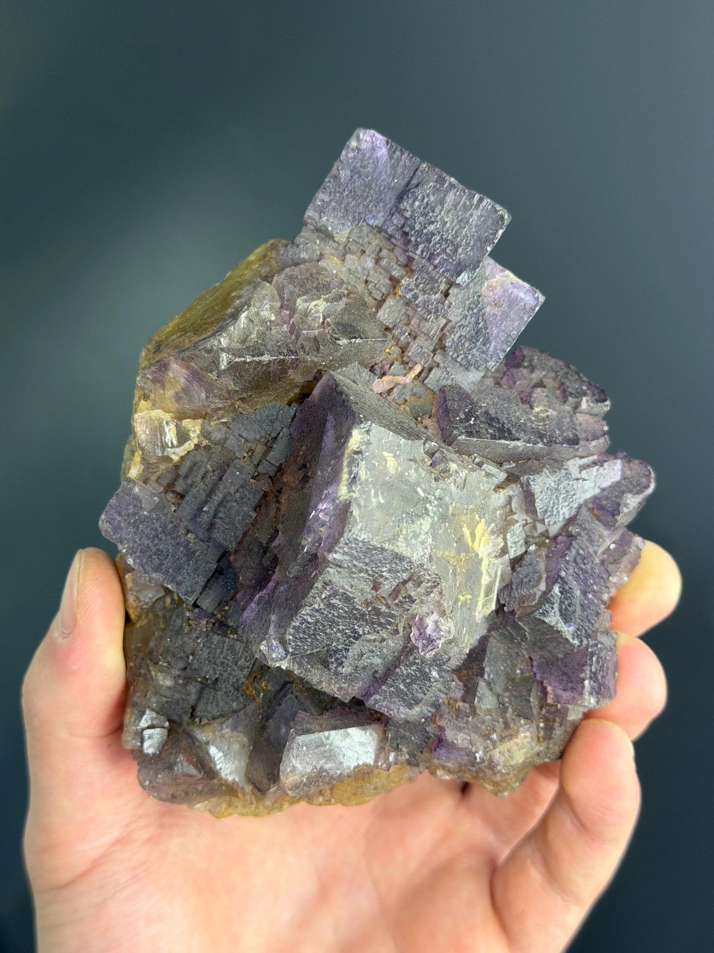 Yellow And Purple Phantom Fluorite