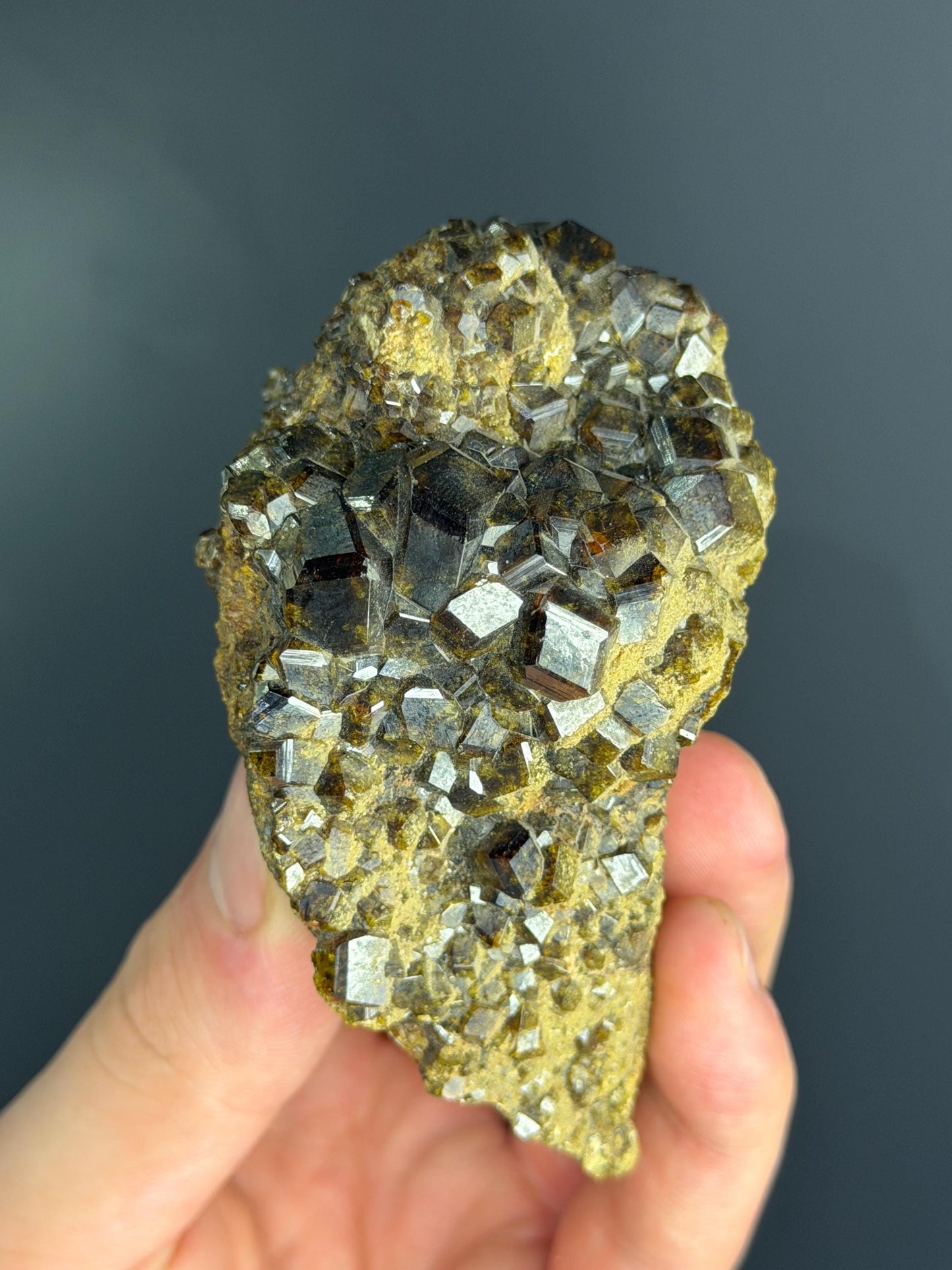 RARE! Andradite Garnet