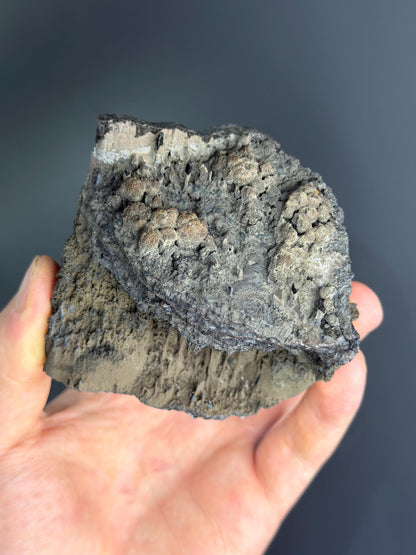 Museum Quality, Specularite With Stalactite Goethite