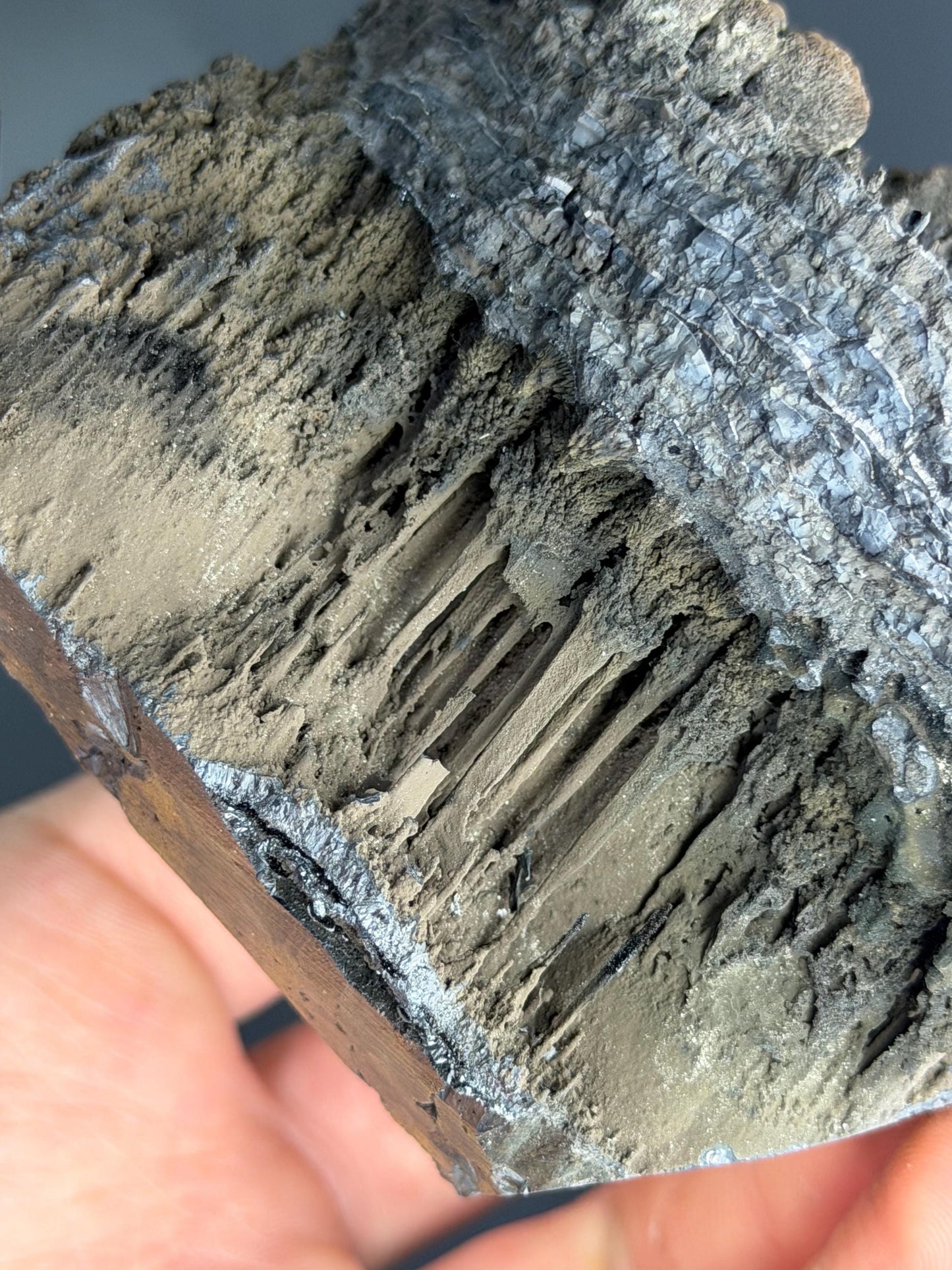 Museum Quality, Specularite With Stalactite Goethite