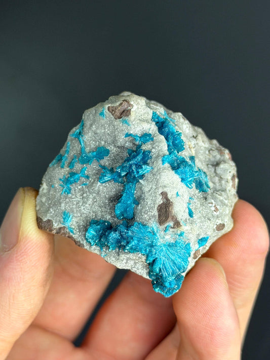 RARE Cavansite Crystals On Heulandite