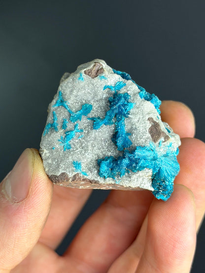 RARE Cavansite Crystals On Heulandite