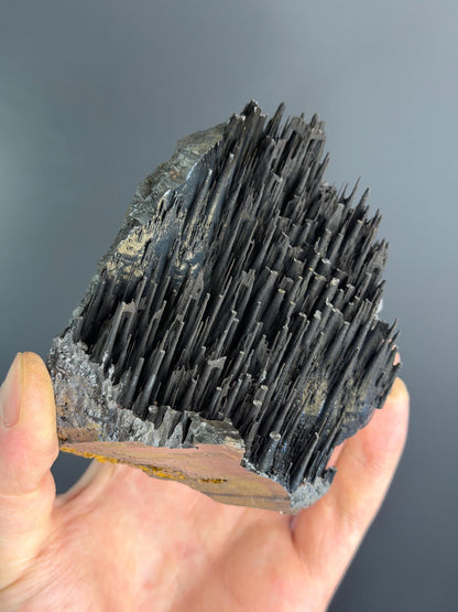 Museum Quality! Stalactite Forest Goethite