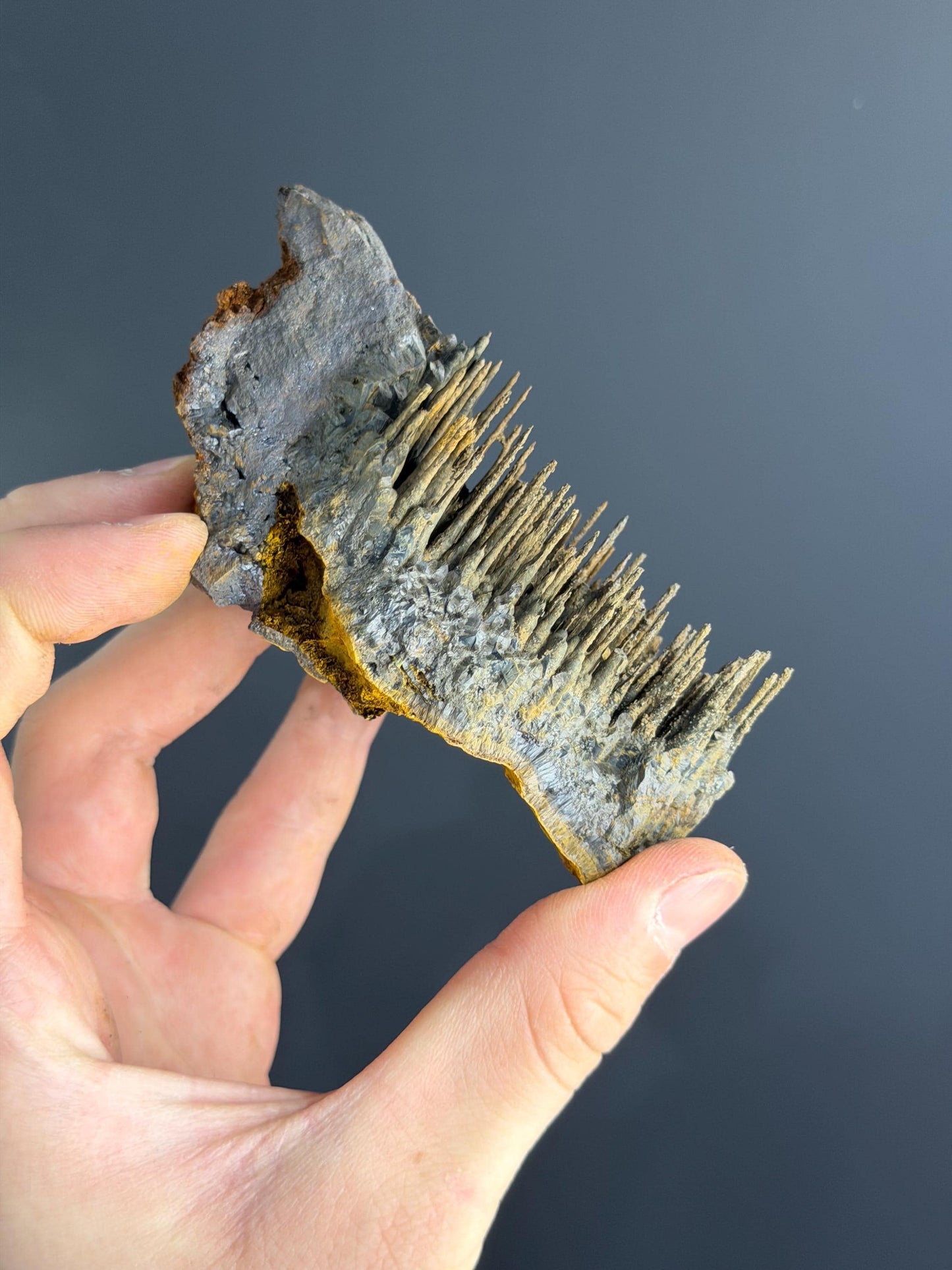 Museum Quality, Limonite With Stalactite Goethite