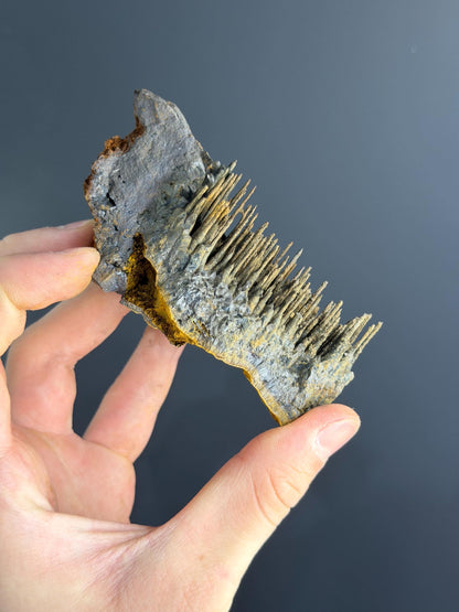 Museum Quality, Limonite With Stalactite Goethite