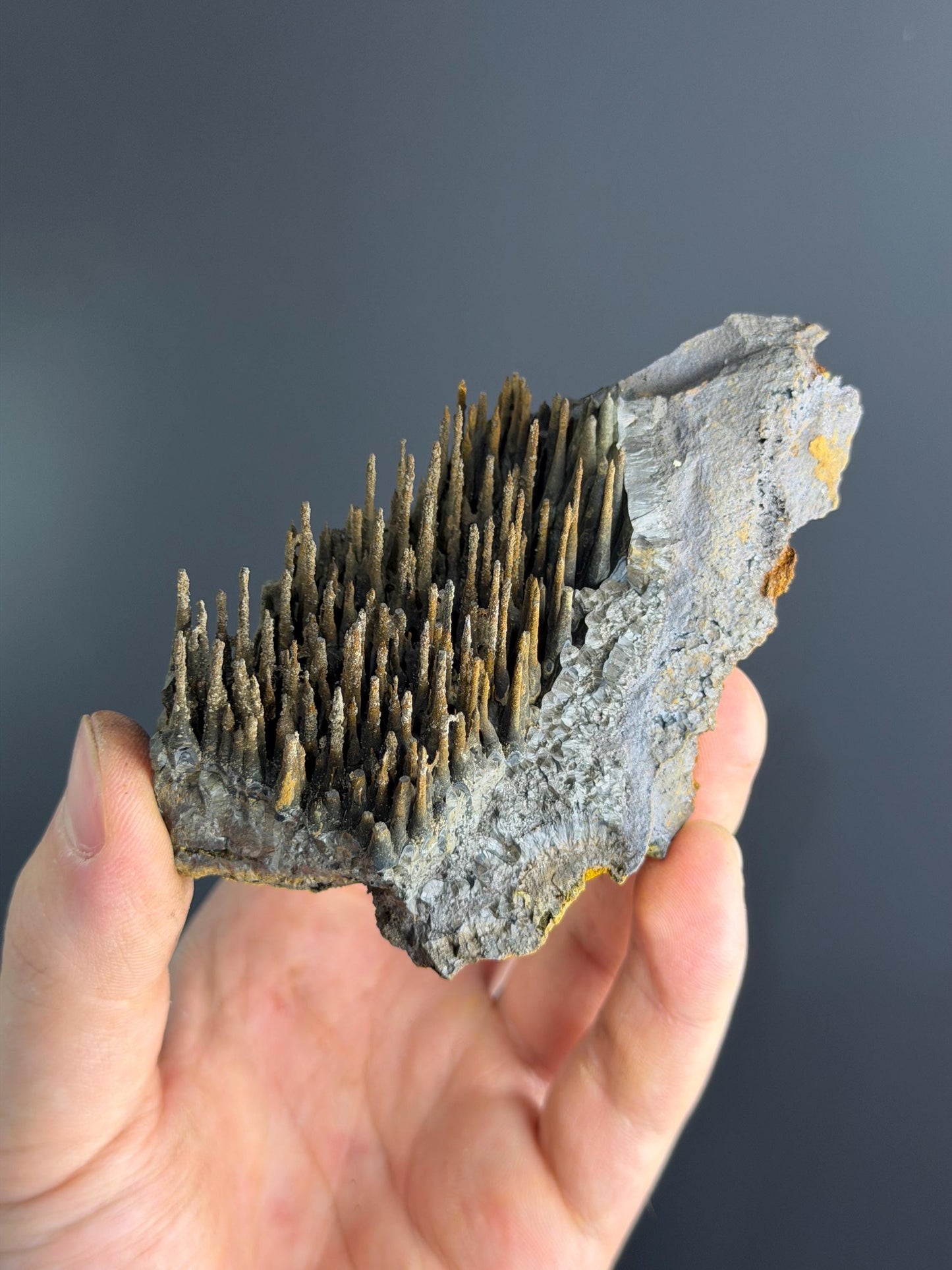 Museum Quality, Limonite With Stalactite Goethite
