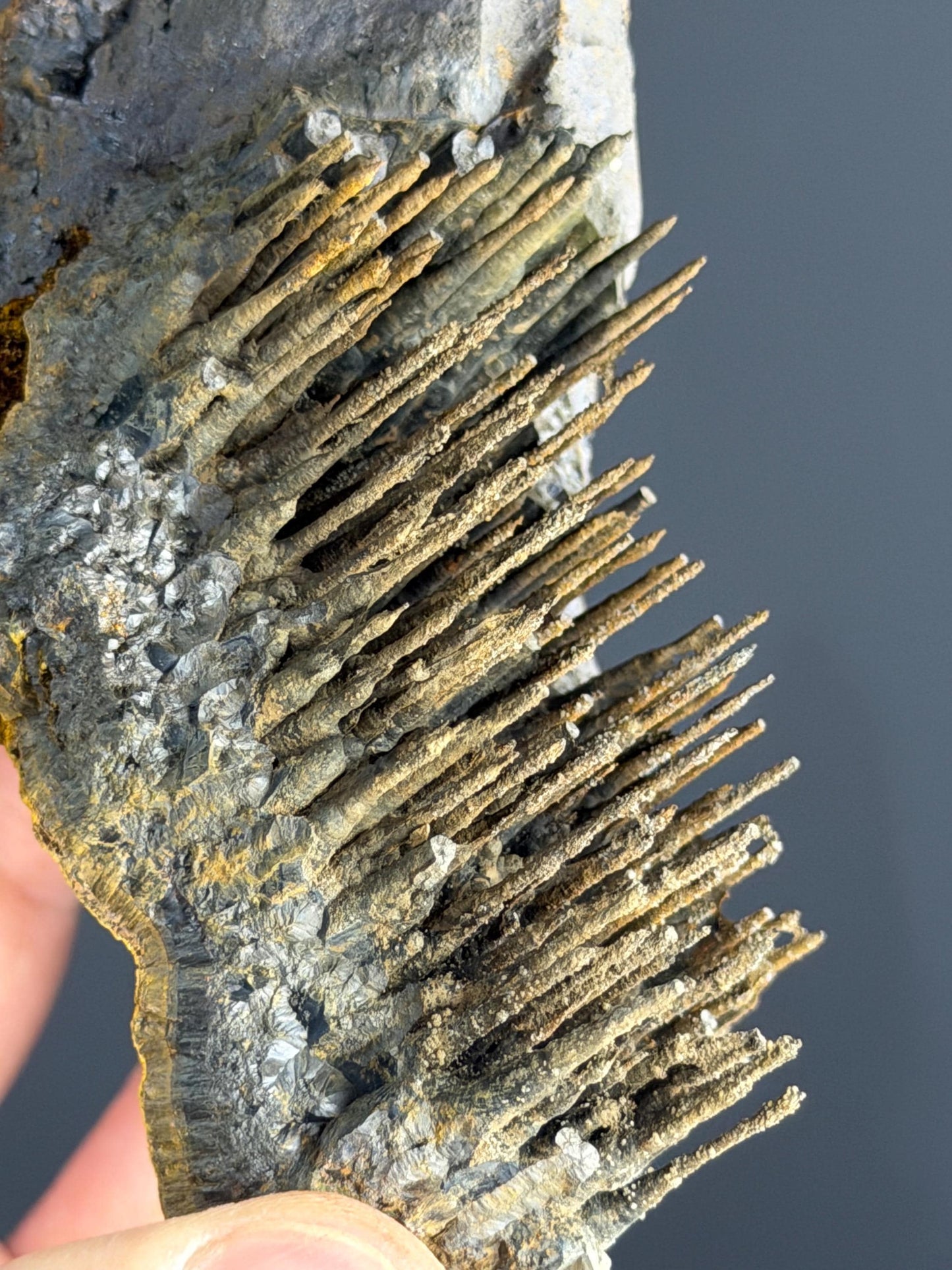 Museum Quality, Limonite With Stalactite Goethite