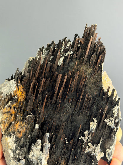 Museum Quality, Limonite And Specularite With Stalactite Goethite