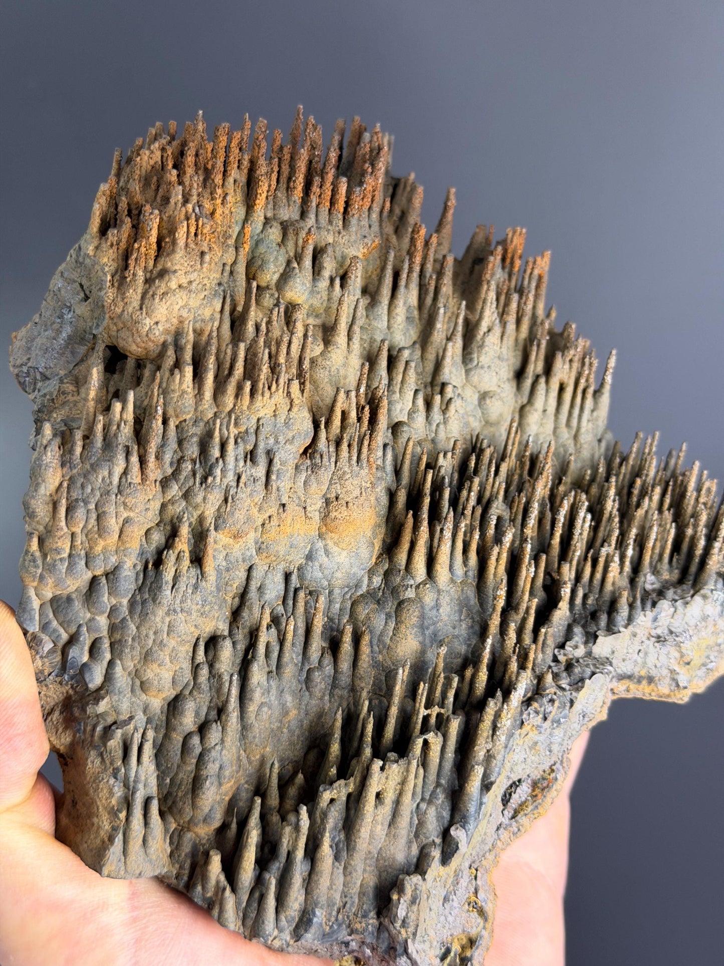 Showy Museum Quality, Limonite With Stalactite Goethite