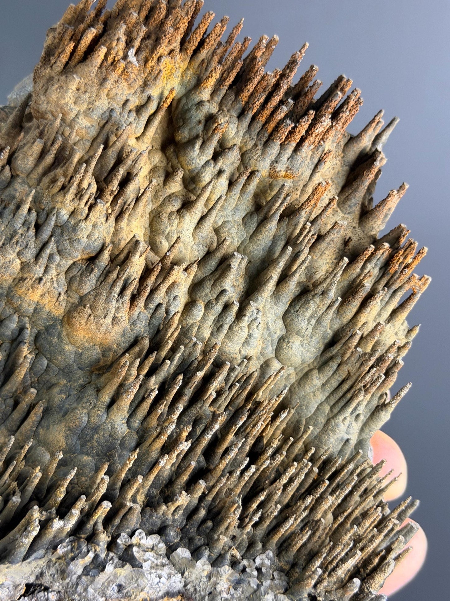 Showy Museum Quality, Limonite With Stalactite Goethite