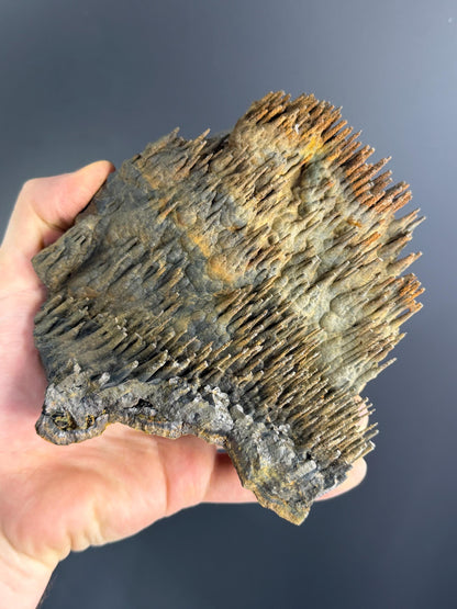 Showy Museum Quality, Limonite With Stalactite Goethite