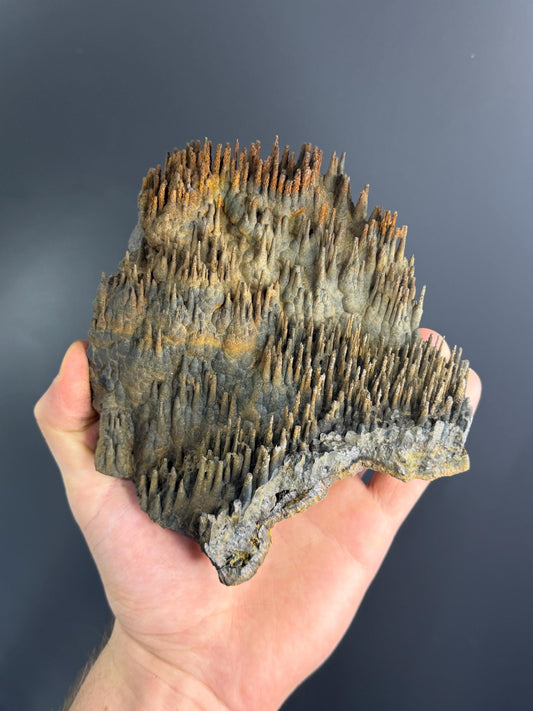 Showy Museum Quality, Limonite With Stalactite Goethite