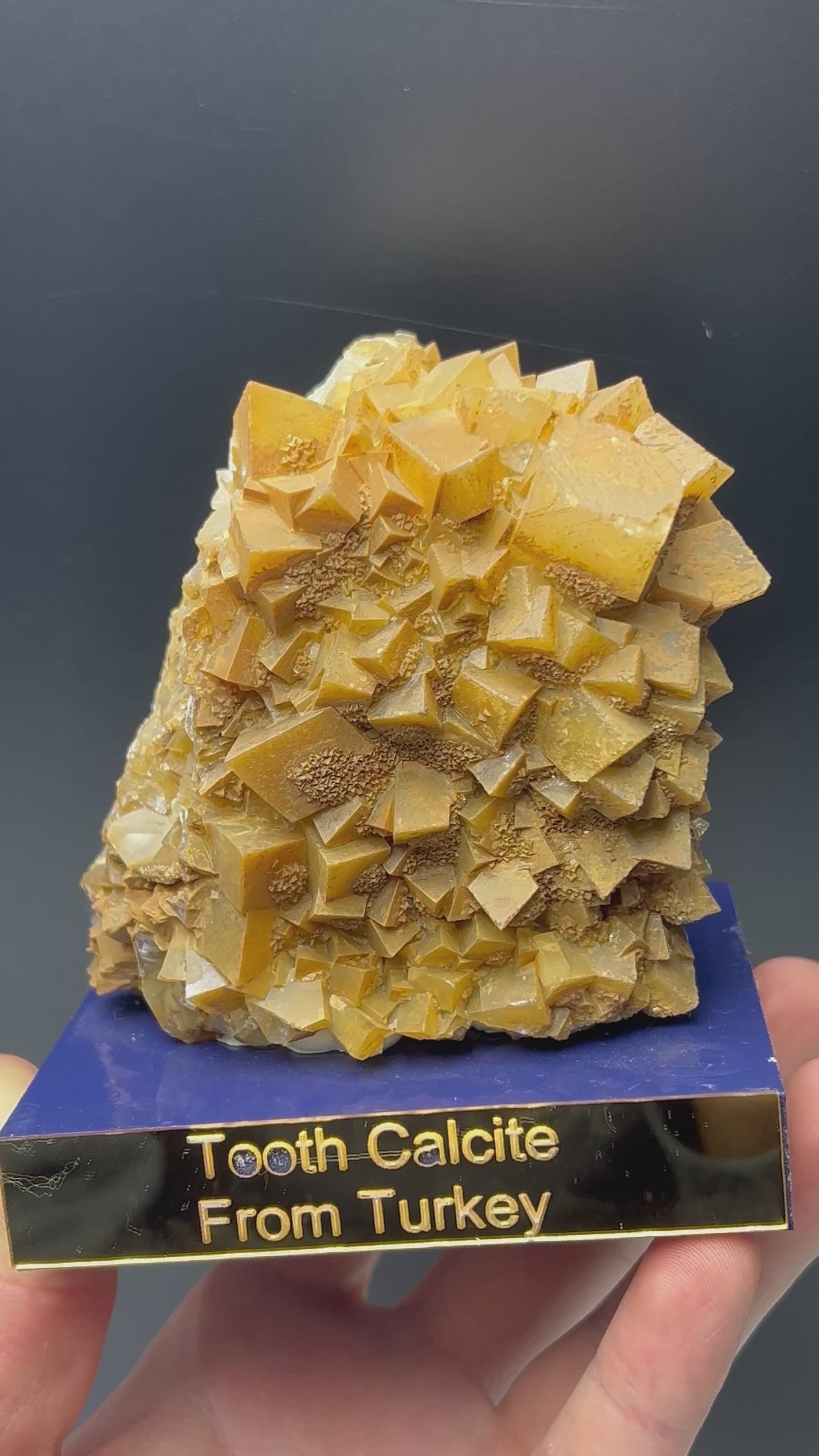 Tooth Orange Crystal Calcite Specimen
