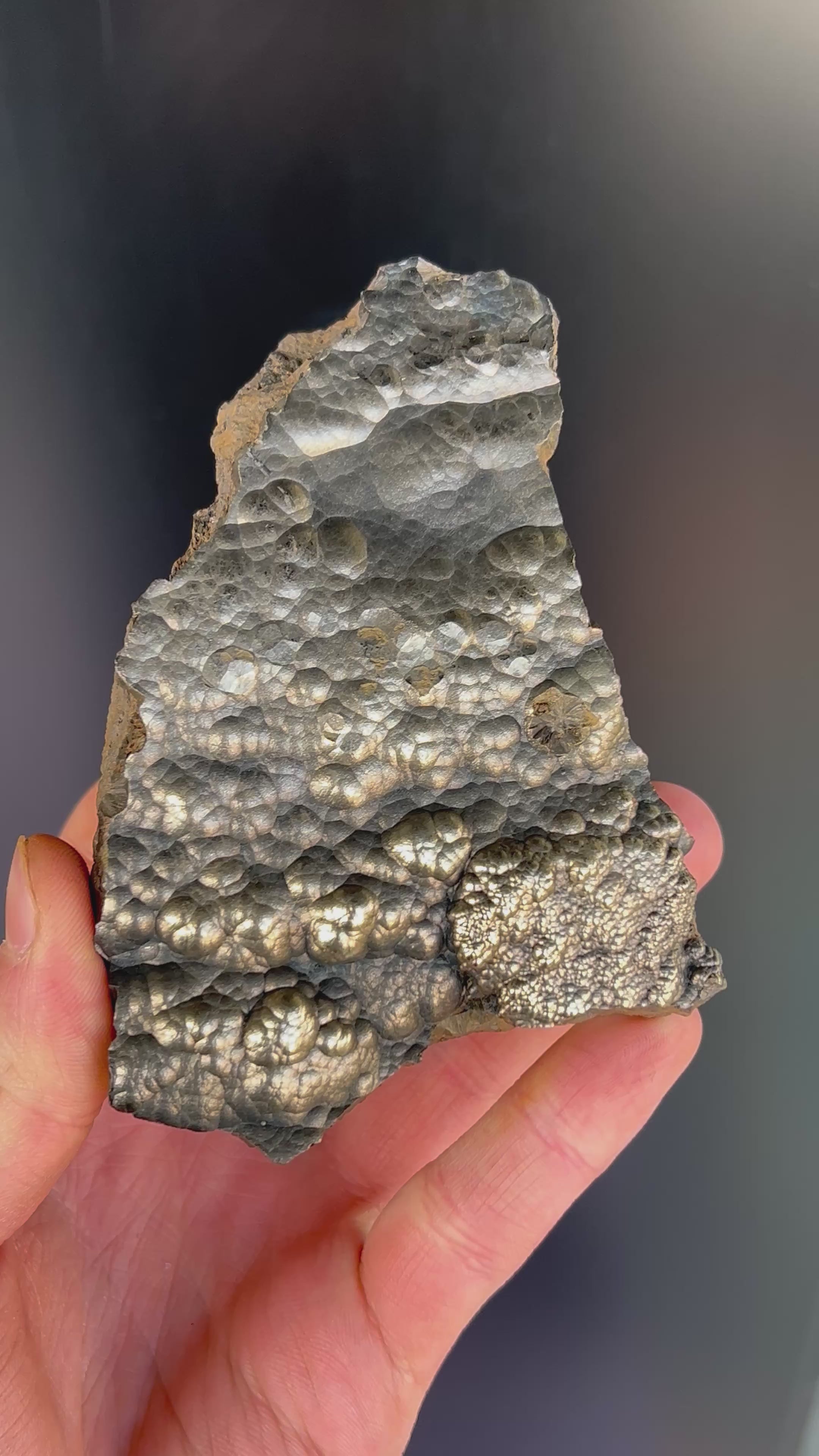 “Museum Grade” Golden Color 2 Sided Botryoidal Goethite