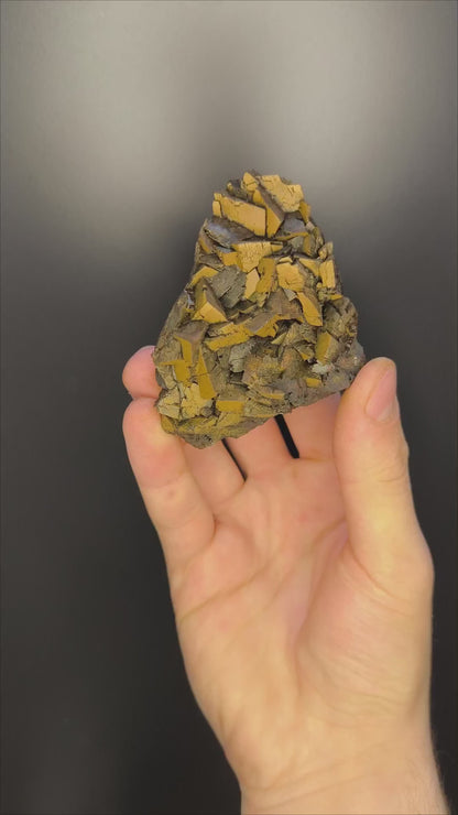 Museum Quality! Limonite With Iron Siderite