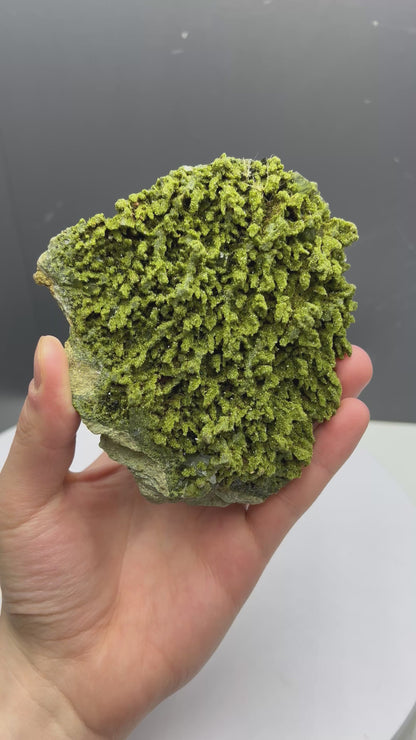 Light Green Forest Epidote💚