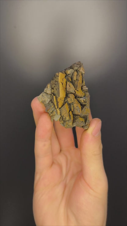 Museum Quality! Limonite On Iron Siderite