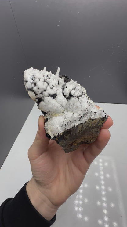 Museum Quality! Snow Crystal Calcite On Stalactite Hematite