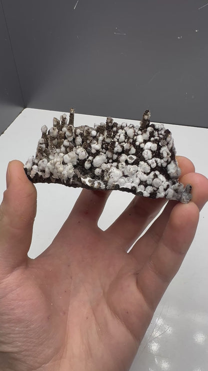 Museum Quality! Snow Crystal Calcite On Stalactite Hematite