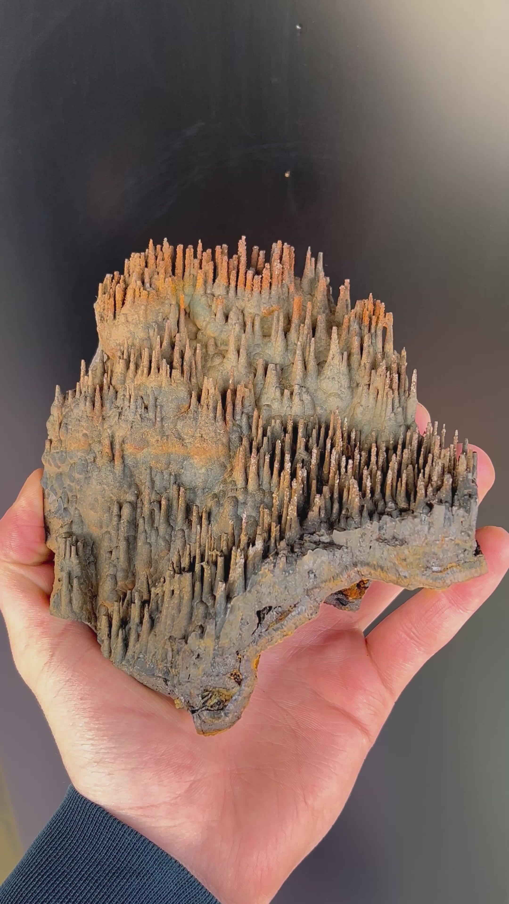 Museum Grade Limonite With Stalactite Goethite