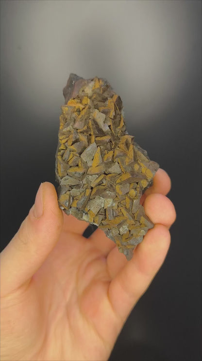 Museum Quality! Limonite With Iron Siderite