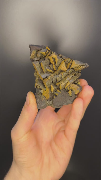 Museum Quality! Limonite With Iron Siderite