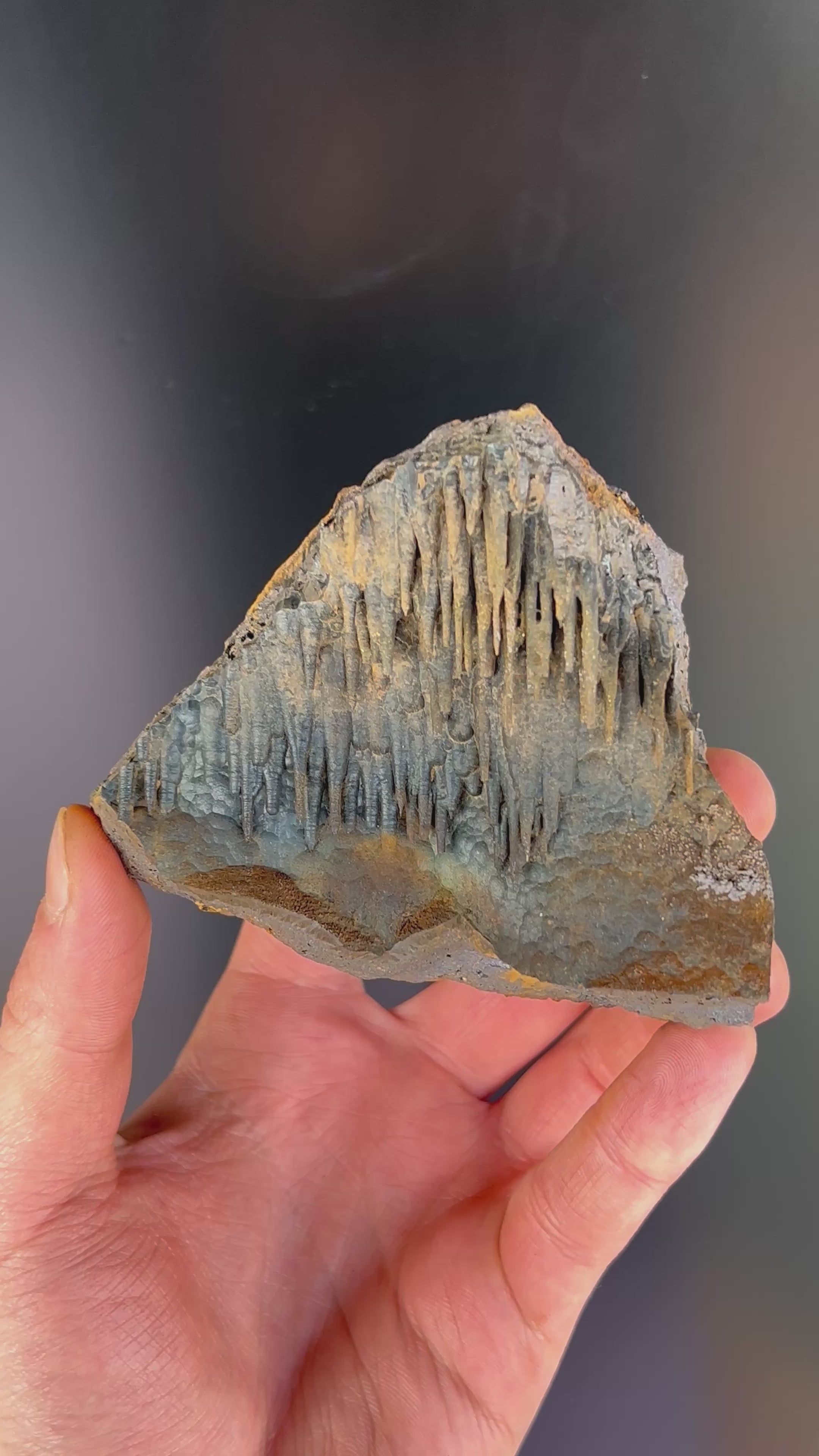 Museum Grade Limonite With Stalactite Goethite