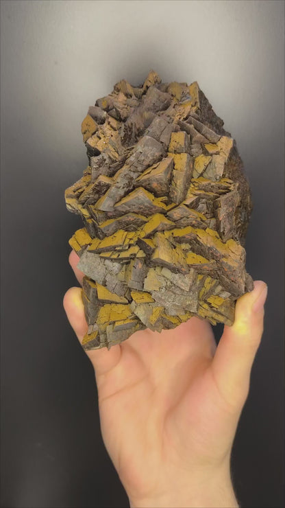 Museum Quality! Large Size Limonite On Iron Siderite