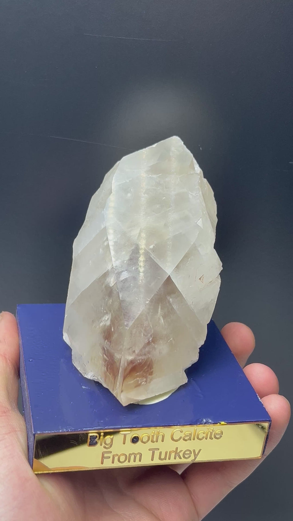 Big Tooth Clear Crystal Calcite Specimen