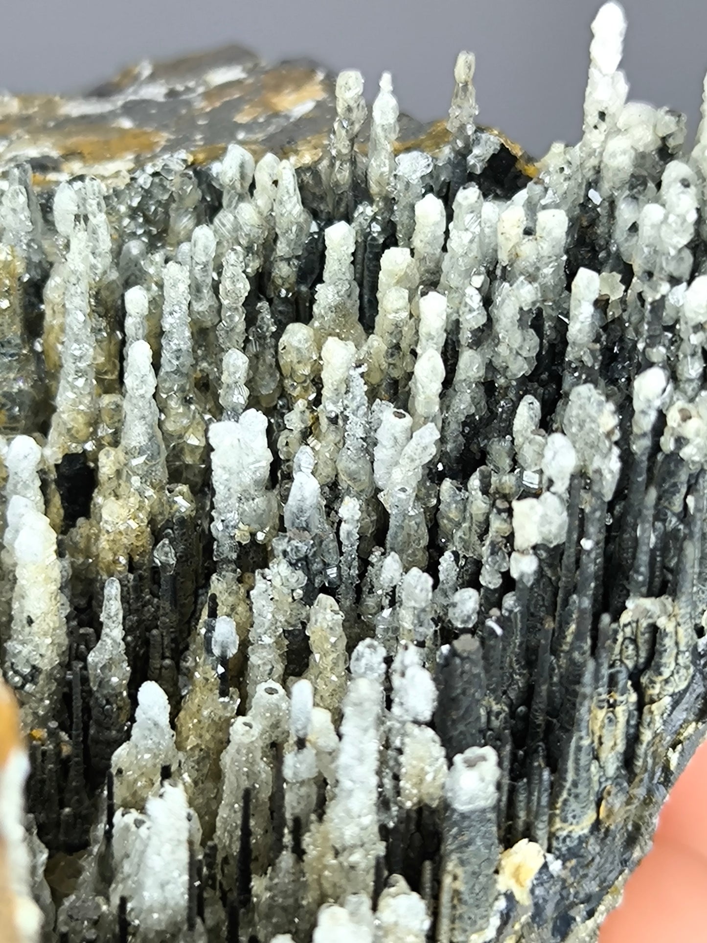 Museum Quality! White Crystal Calcite On Stalactite Hematite