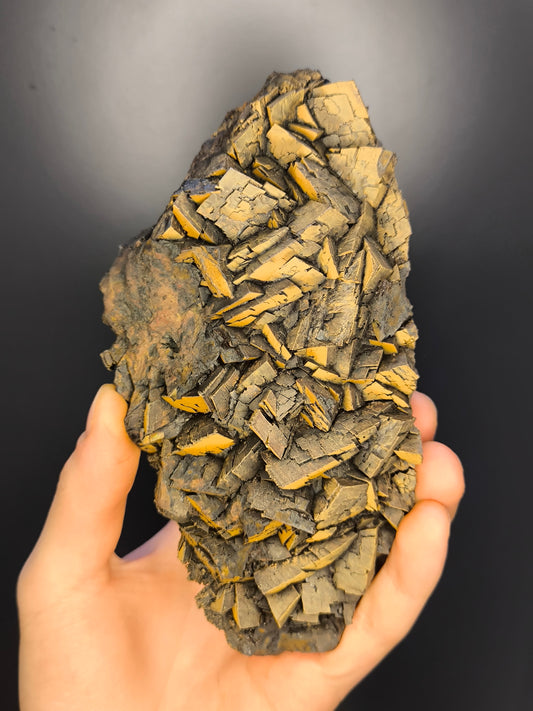 Museum Quality! Extra Large! Limonite With Iron Siderite