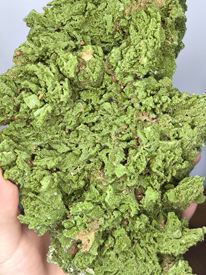 Large Size! Light Green Forest Epidote