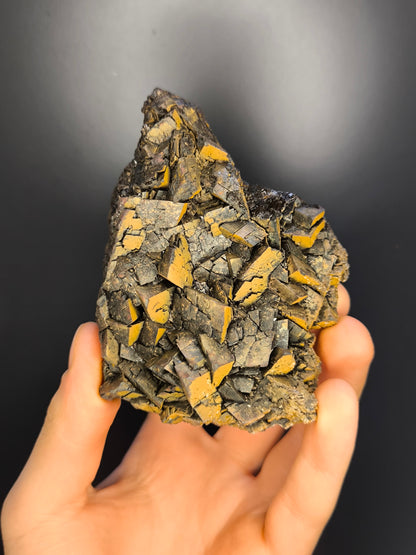 Museum Quality! Limonite With Iron Siderite