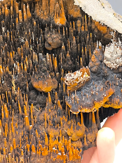 Extra Large, Museum Quality Limonite On Stalactite Hematite