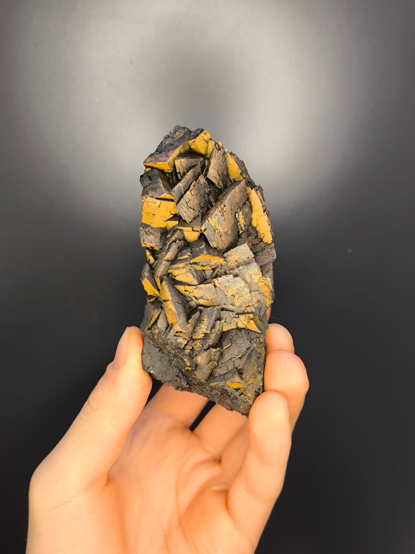 Museum Quality! Limonite With Iron Siderite