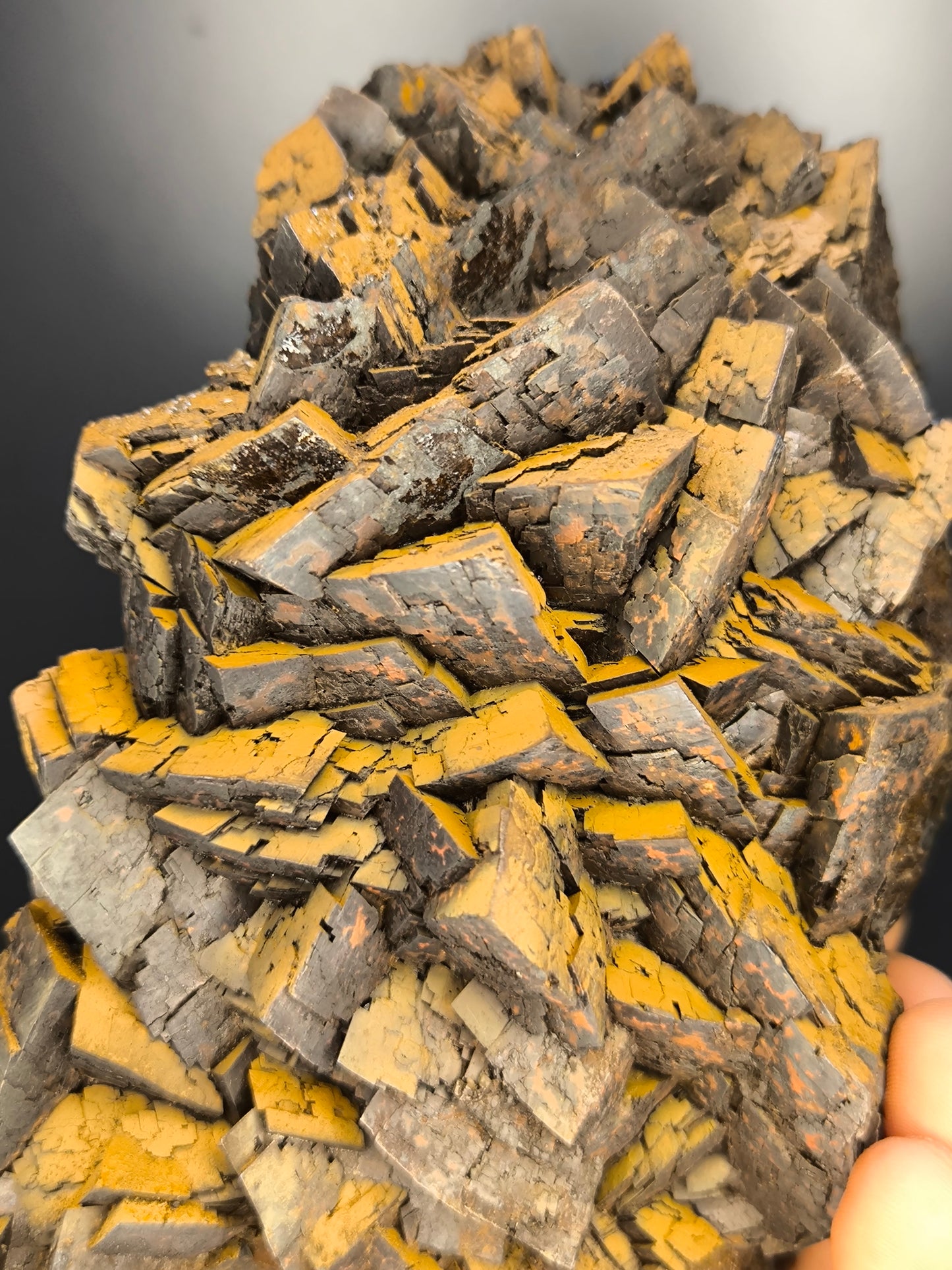 Museum Quality! Large Size Limonite On Iron Siderite