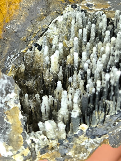 Museum Quality! White Crystal Calcite On Stalactite Hematite