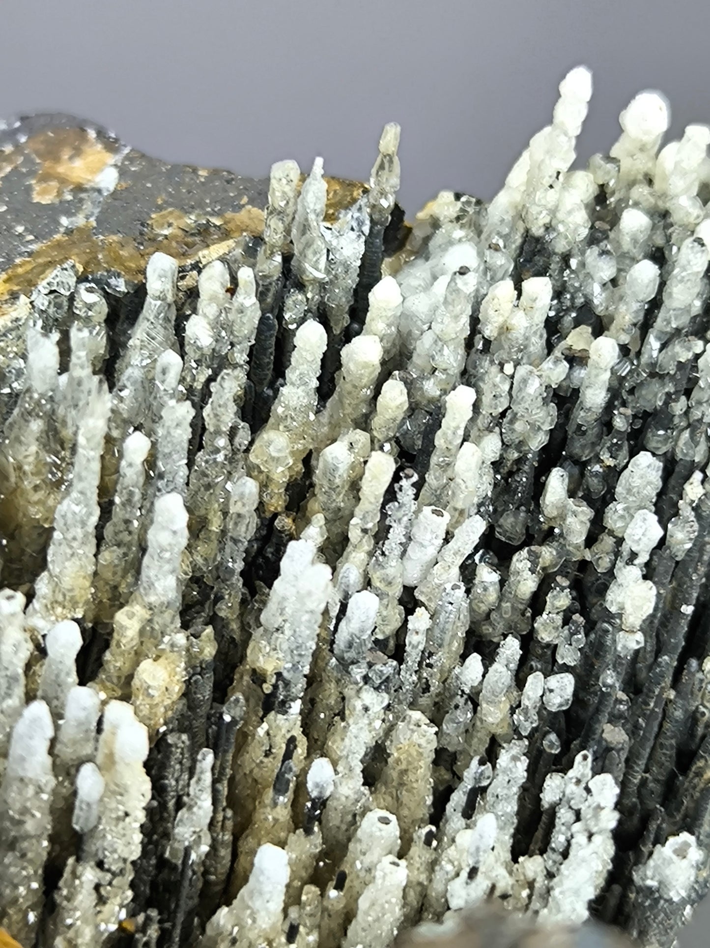 Museum Quality! White Crystal Calcite On Stalactite Hematite