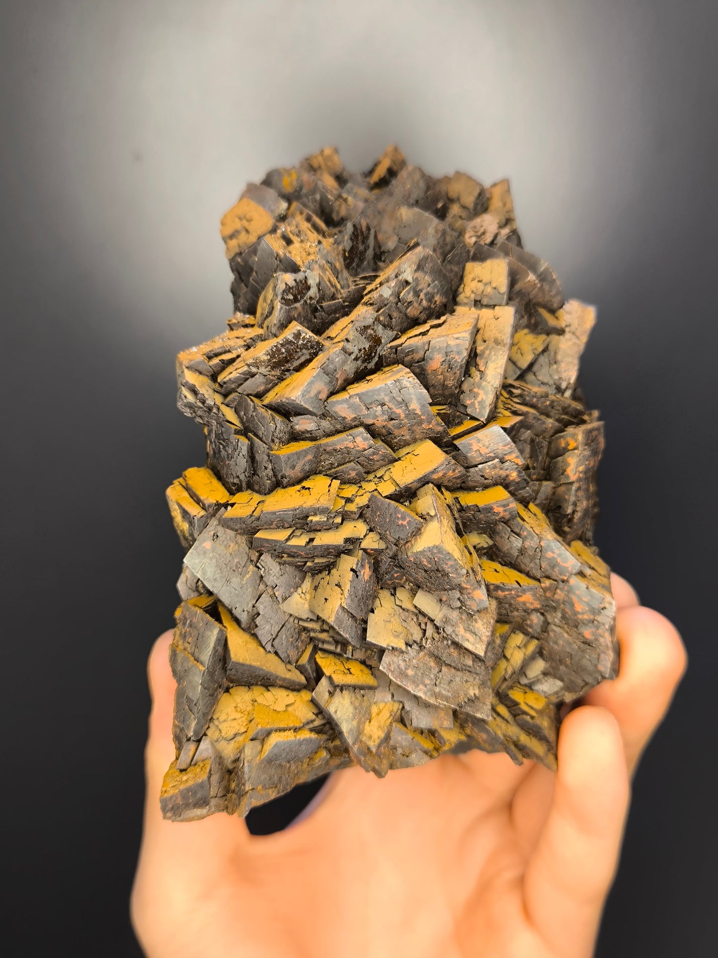 Museum Quality! Large Size Limonite On Iron Siderite