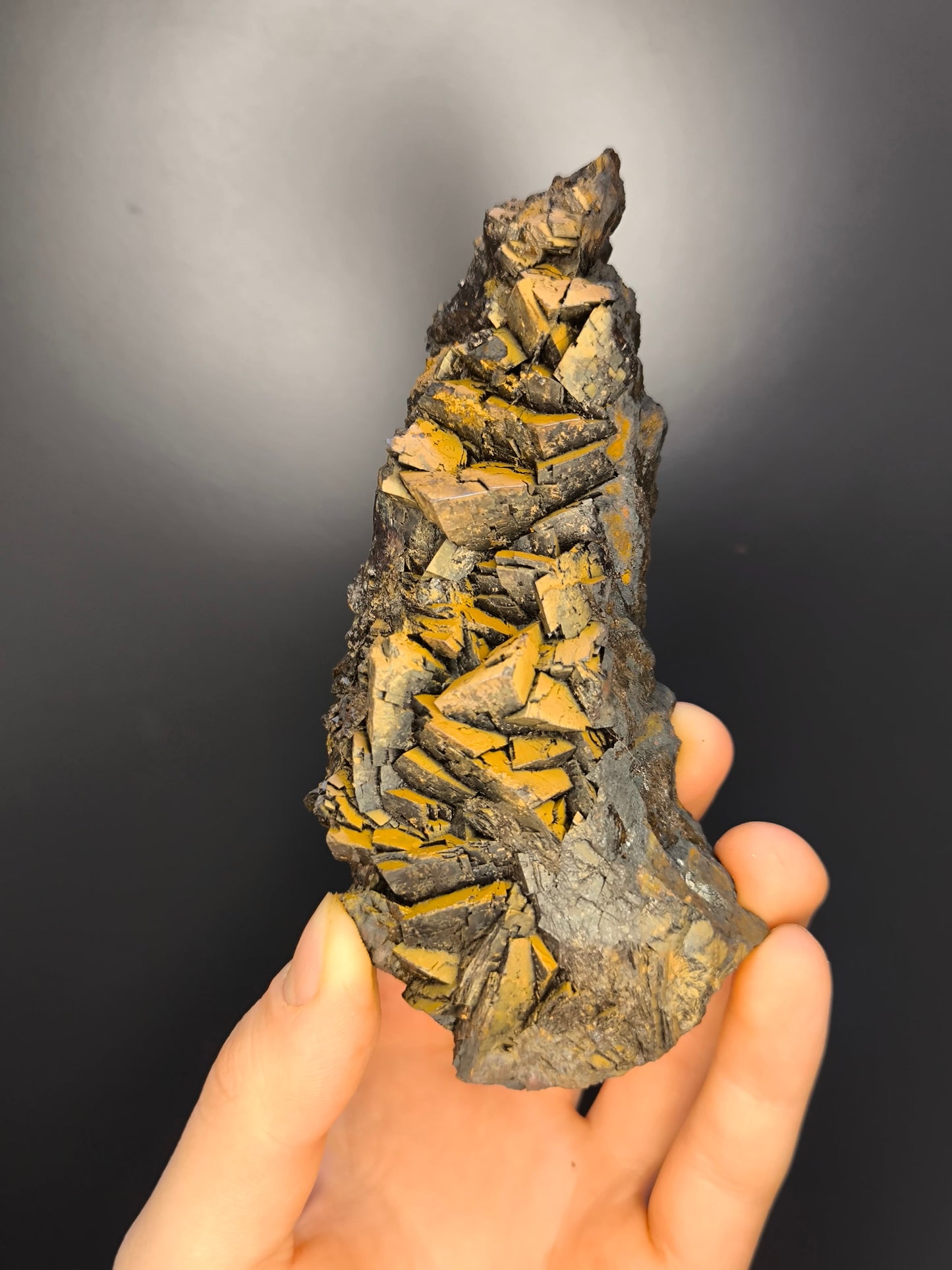 Museum Quality! Limonite On Iron Siderite