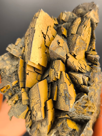 Museum Quality! Limonite On Iron Siderite