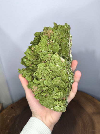 Large Size! Light Green Forest Epidote