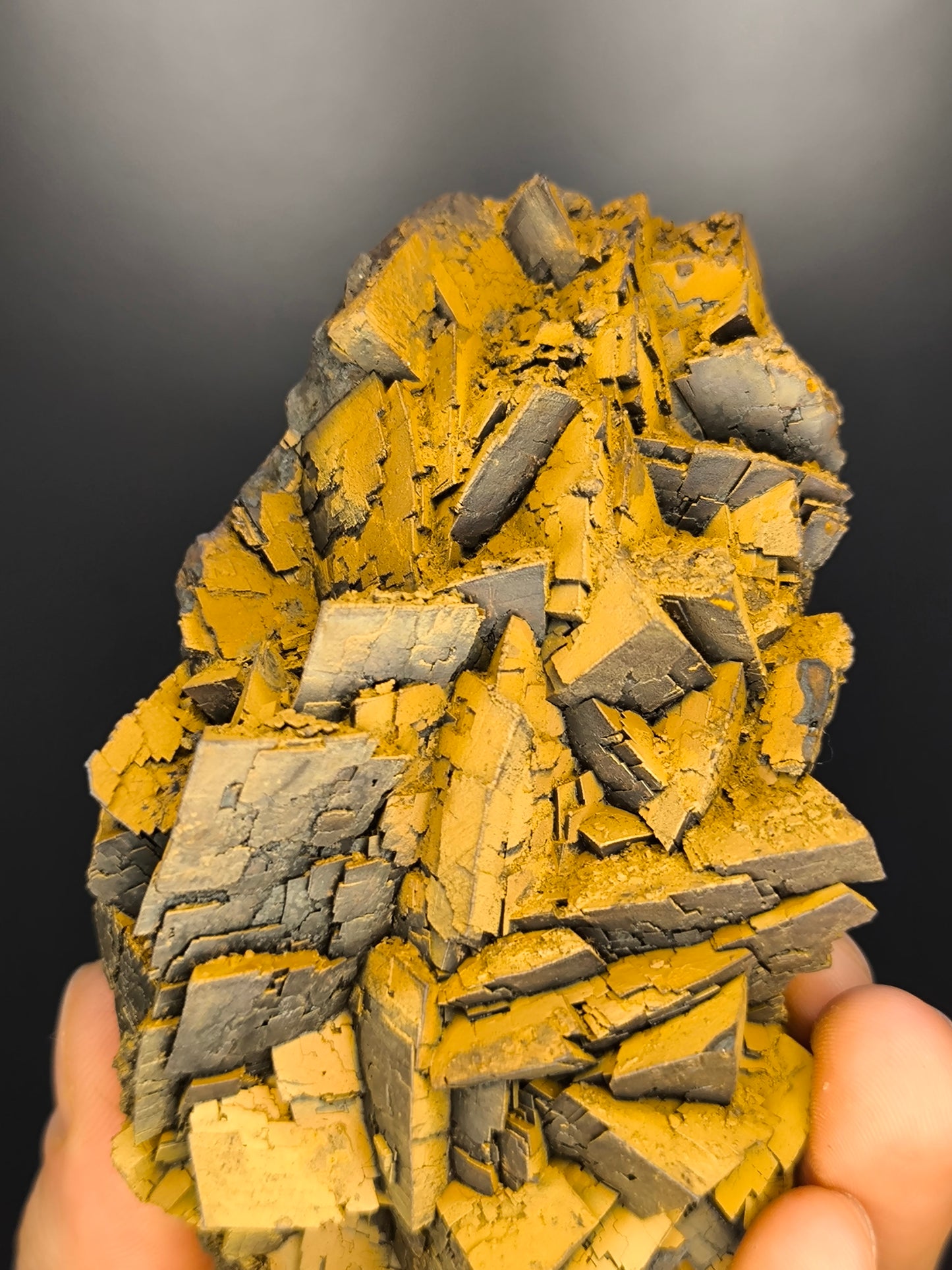 Museum Quality! Limonite With Iron Siderite