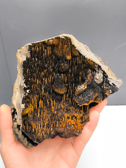 Extra Large, Museum Quality Limonite On Stalactite Hematite