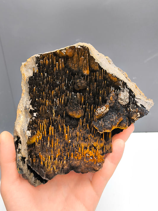 Extra Large, Museum Quality Limonite On Stalactite Hematite