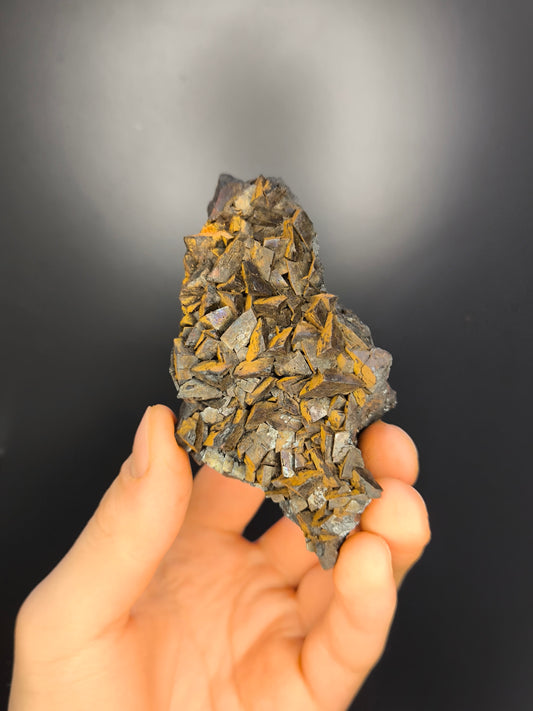 Museum Quality! Limonite With Iron Siderite