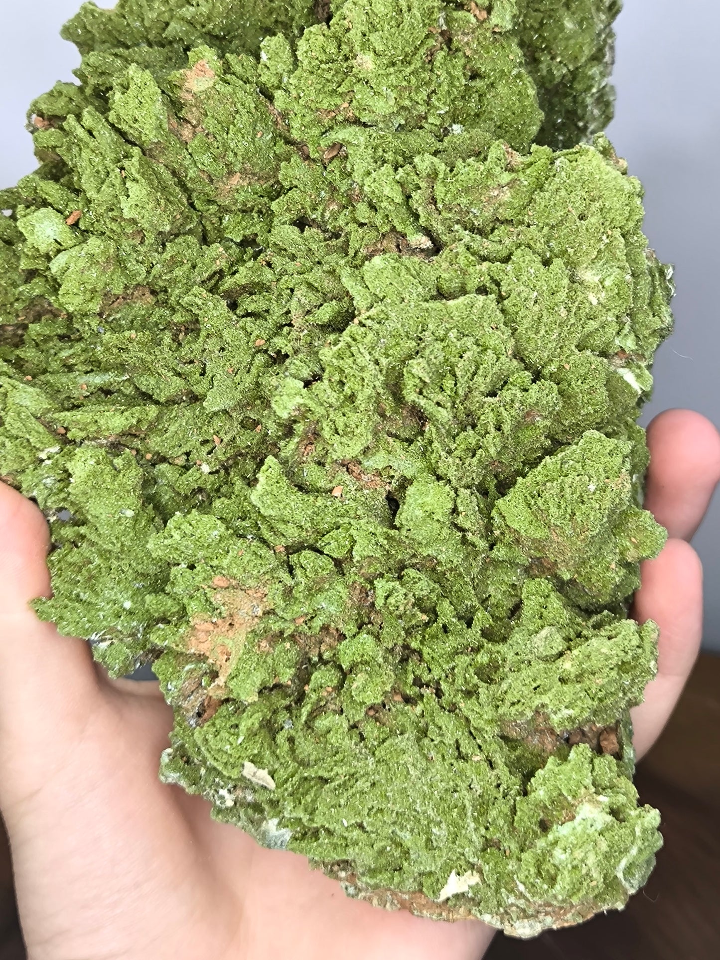 Large Size! Light Green Forest Epidote